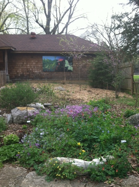 Early Blooms in the Butterfly Garden - April 2013