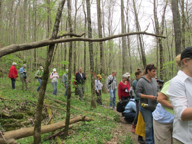 wcmg_taylor_hollow_hike_large_20140418_img_3023