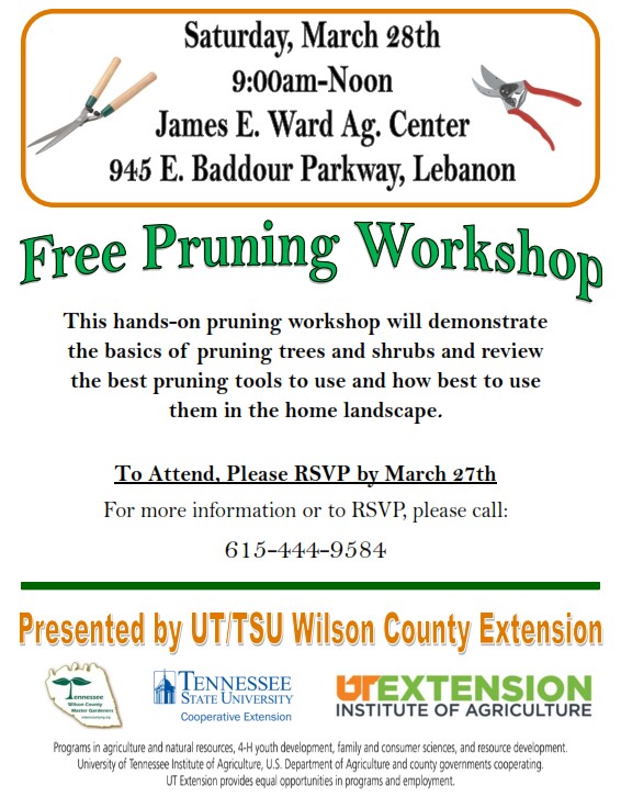 Pruning Workshop in Lebanon, TN on Saturday, 28 March 2015