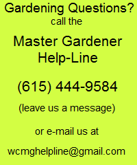 MG Help-Line call 615-444-9584